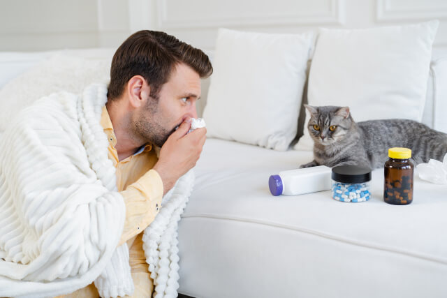 動物アレルギーの薬とは？市販薬・処方薬の選び方と注意点【薬剤師解説】
