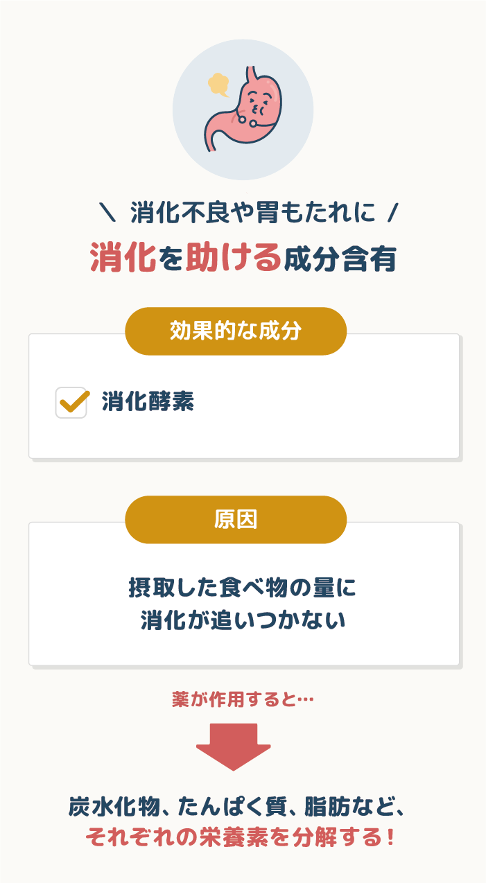 消化不良や胃もたれには消化を助ける成分含有