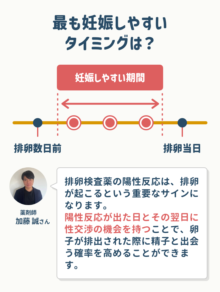 妊娠しやすいタイミングと排卵日の関係