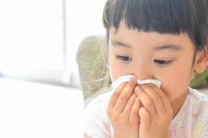 【薬剤師が解説】ドライノーズスプレー｜日本臓器製薬【効果/副作用】