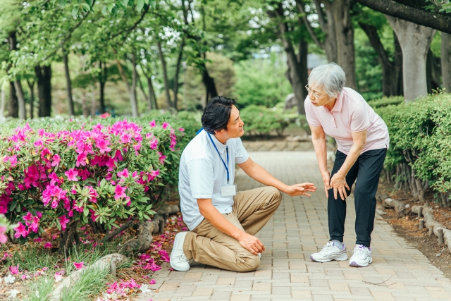 薬剤師が解説】コンドロイチンとグルコサミンの違いが1分でわかる