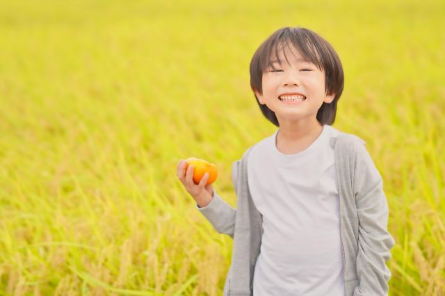 薬剤師が解説 虫刺され薬ランキング上位の商品はどんな商品 15選を紹介 Eparkくすりの窓口コラム ヘルスケア情報