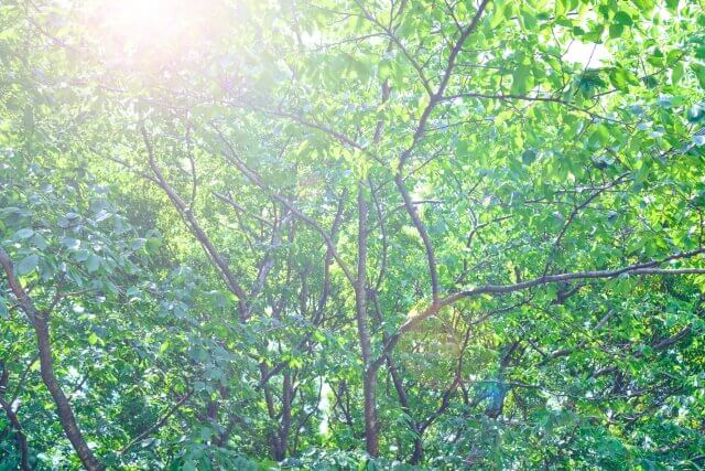 精神科に行く前にできるセルフケアはある?
