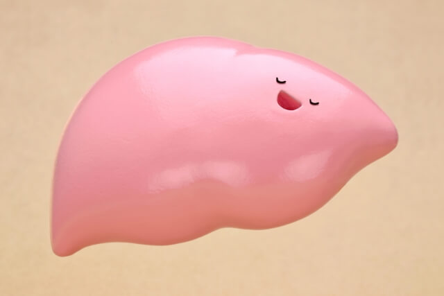 脂肪肝とは