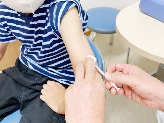日本脳炎予防接種の基本情報