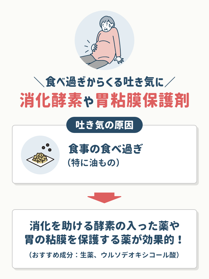 食べ過ぎからくる吐き気の場合は【消化酵素や胃粘膜保護剤】