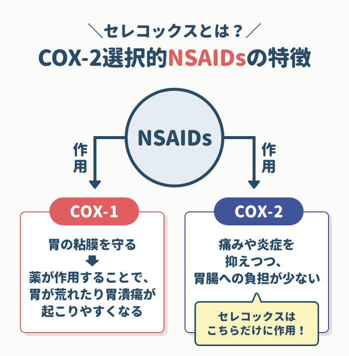 セレコックスとは？COX-2選択的NSAIDsの特徴