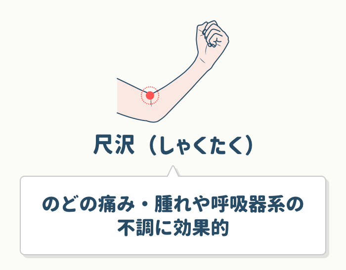 尺沢(しゃくたく)