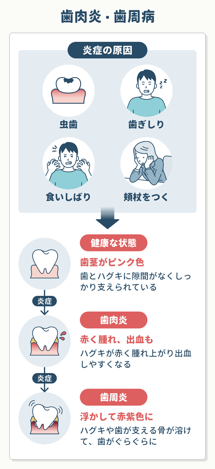 活動歴および当時の関連ビジュアル記録