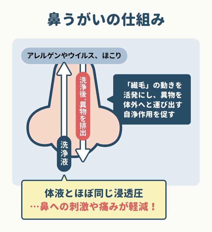 鼻うがいの仕組み