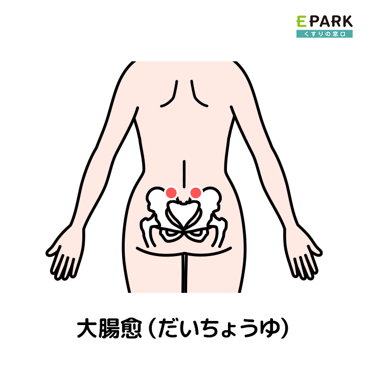 便秘にも下痢にも効果的な『大腸兪（だいちょうゆ）』