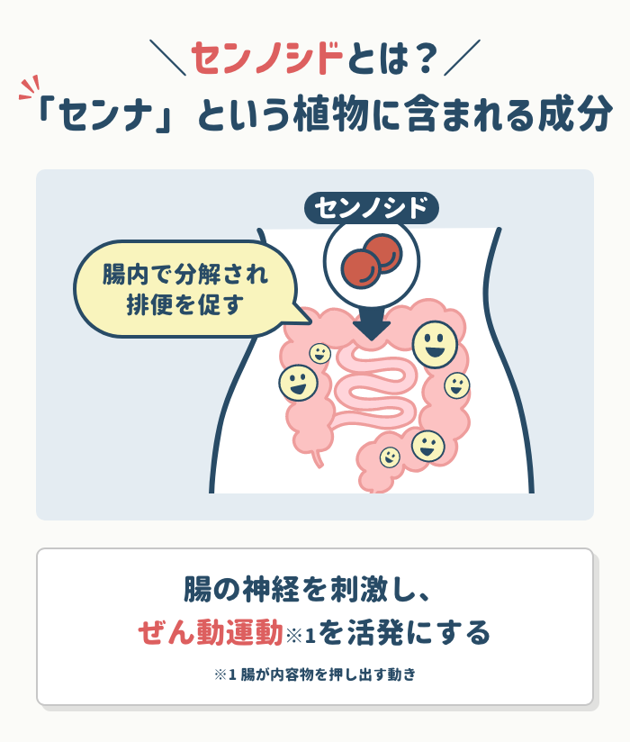 センノシドとは？成分の基本と作用メカニズム