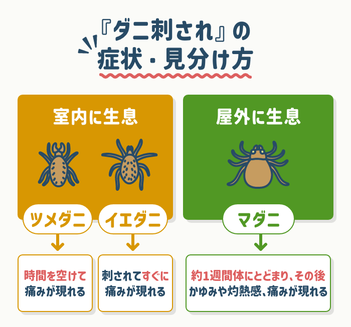 『ダニ刺され』の症状・見分け方